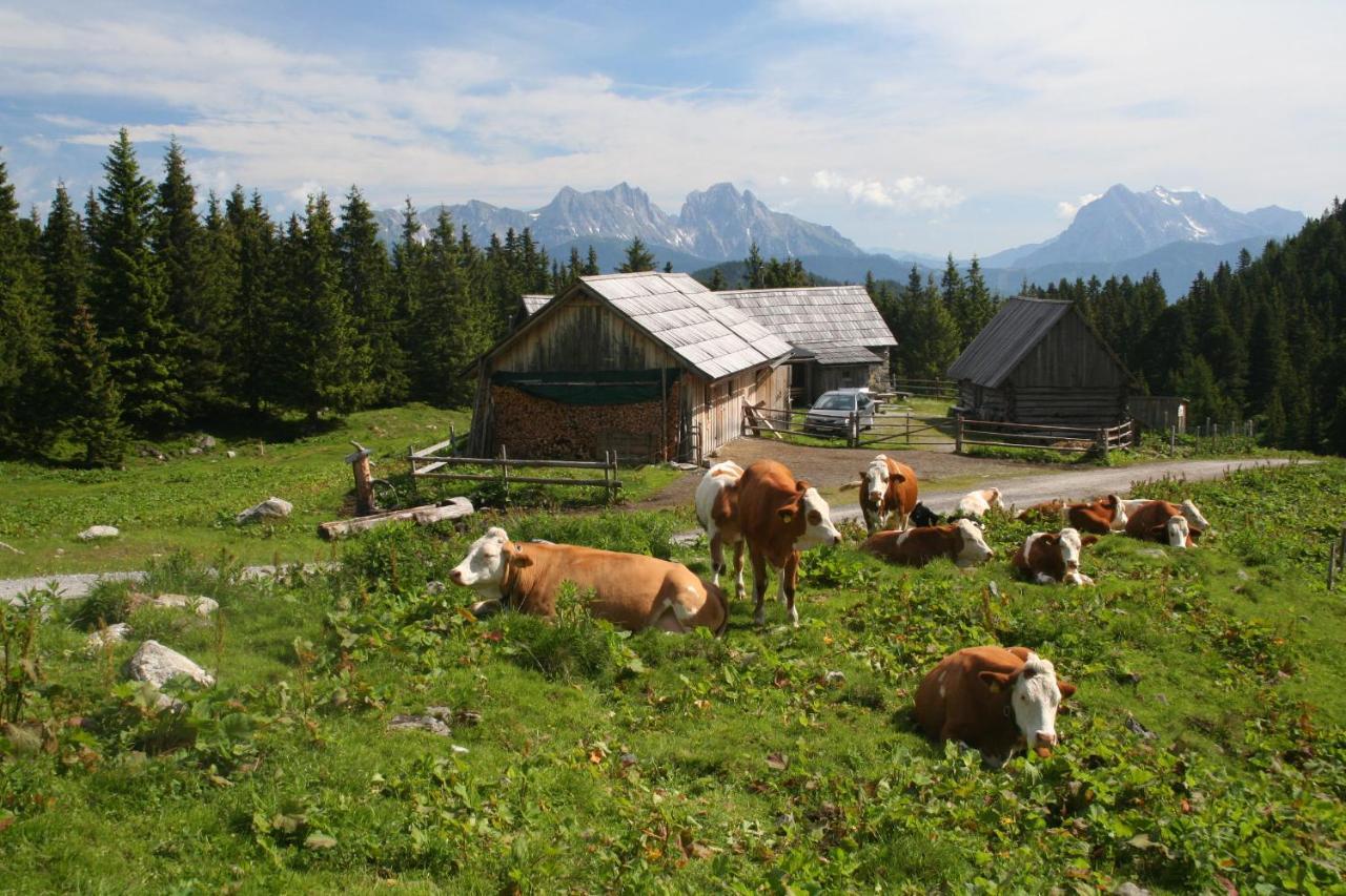 Alte Muehle * Hohentauern
